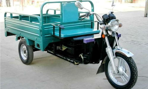 生命奇跡與愛(ài)的堅(jiān)守 植物人母親誕下健康嬰兒