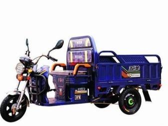 專業收售新舊三輪車及電動車全品類服務