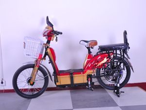 供應(yīng)北京高檔電動(dòng)三輪車 安全防護(hù)與卓越性能的完美融合